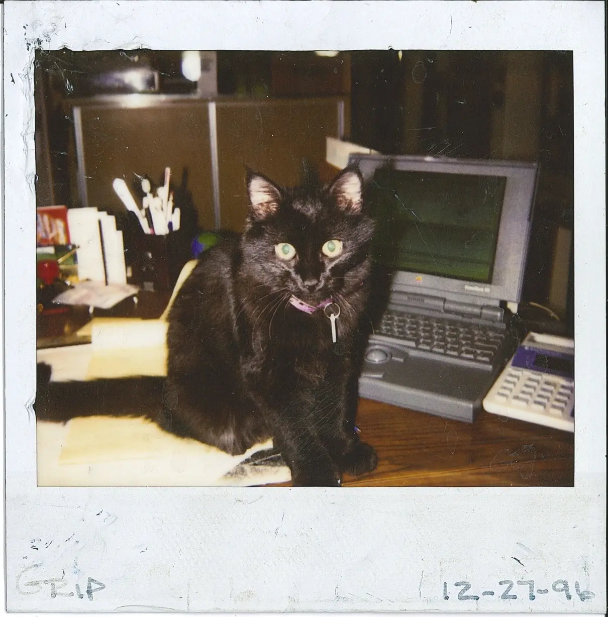 Office Cat, Grip 1996