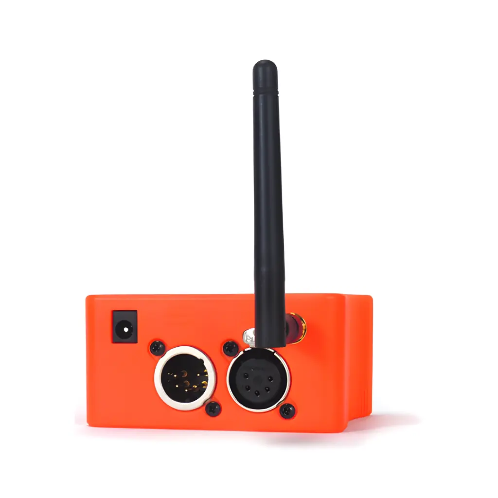 Show Baby - back.webp