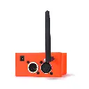 Show Baby - back.webp