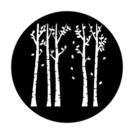 [rental-apollo-8046] Apollo Design 8046-BR Birch Grove Size B